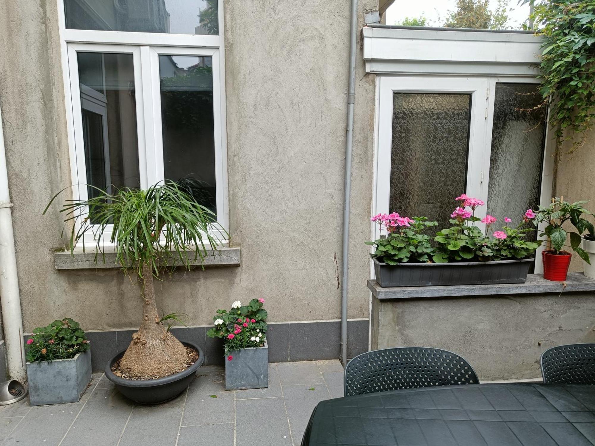 The Brussels-Laken Appartement Zewnętrze zdjęcie